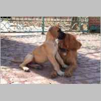 What is going on....jpg